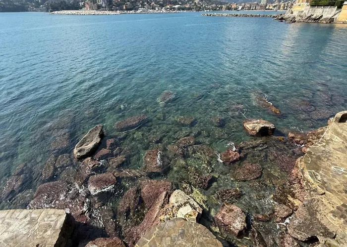 Terrazza Sul Mare - Villetta In Riva Al Mare Apartamento